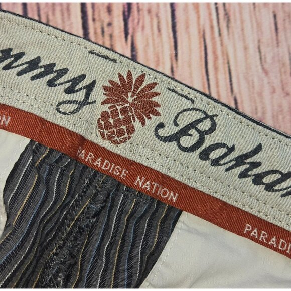 Tommy Bahama Mens Striped Cotton Shorts 35 - Picture 4 of 7